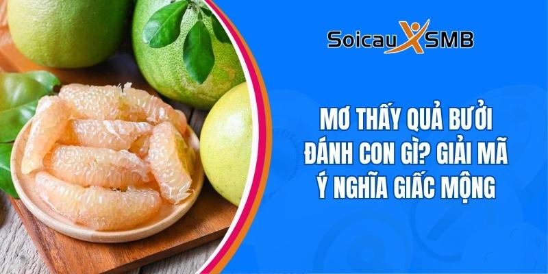 giấc mơ thấy quả bưởi