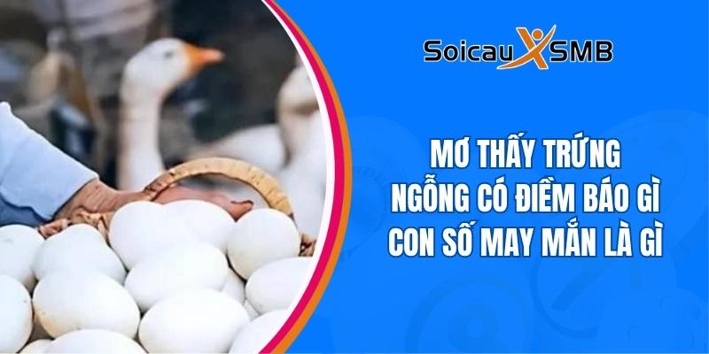 nằm mơ thấy trứng ngỗng