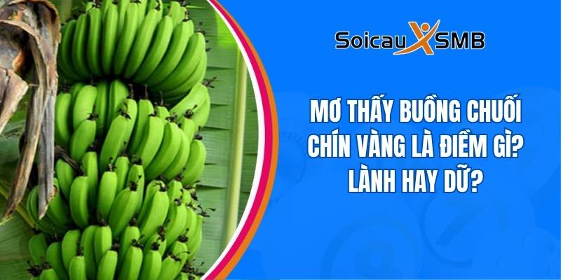 giấc mơ thấy buồng chuối chín vàng