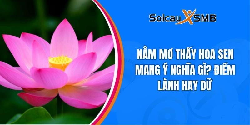mơ thấy hoa sen