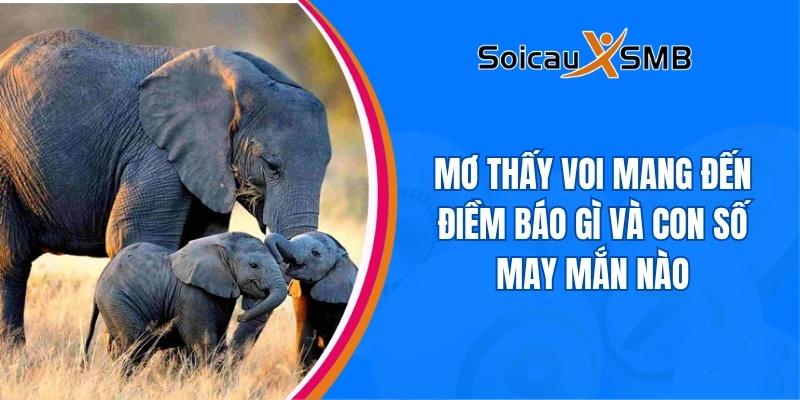 giấc mơ thấy voi