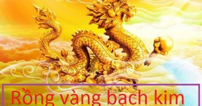 Bí kíp soi cầu rồng bạch kim hiệu quả cao