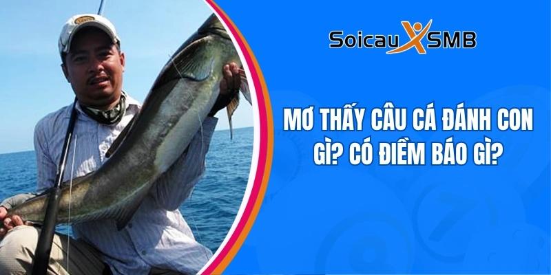 Mơ thấy câu cá đánh con gì? Có điềm báo gì?