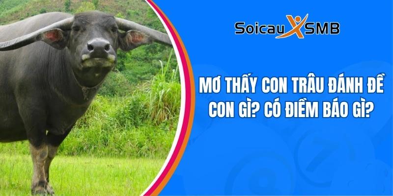 Mơ thấy con trâu đánh đề con gì? Có điềm báo gì?