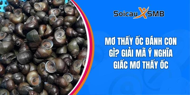 Mơ thấy ốc đánh con gì? Giải mã ý nghĩa giấc mơ thấy ốc