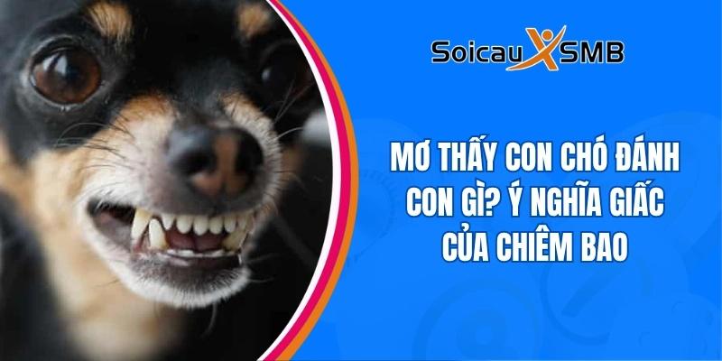 Mơ thấy con chó đánh con gì? Ý nghĩa giấc của chiêm bao