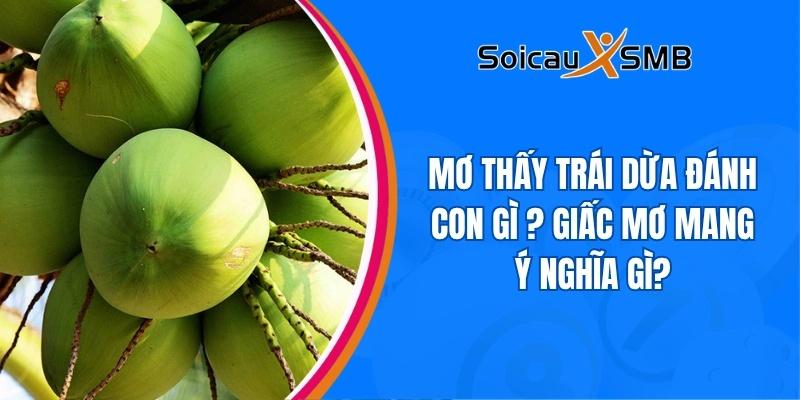 Mơ thấy trái dừa đánh con gì ? Giấc mơ mang ý nghĩa gì?
