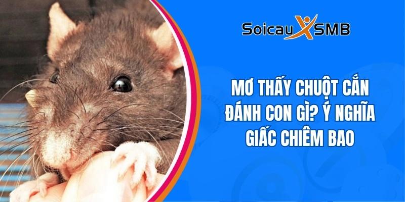 Mơ thấy chuột cắn đánh con gì? Ý nghĩa giấc chiêm bao