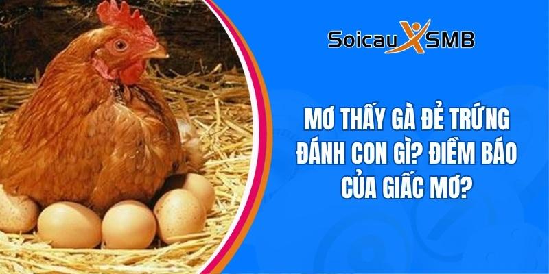 Mơ thấy gà đẻ trứng đánh con gì? Điềm báo của giấc mơ?