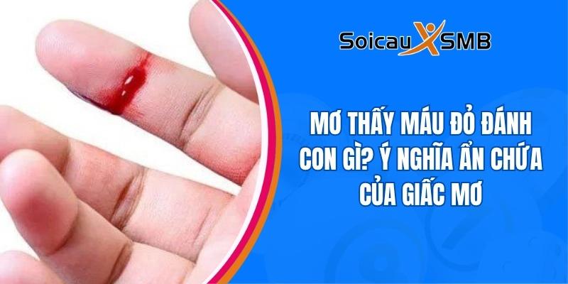 Mơ thấy máu đỏ đánh con gì? Ý nghĩa ẩn chứa của giấc mơ