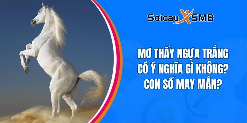 Mơ thấy ngựa trắng có ý nghĩa gì không? Con số may mắn?