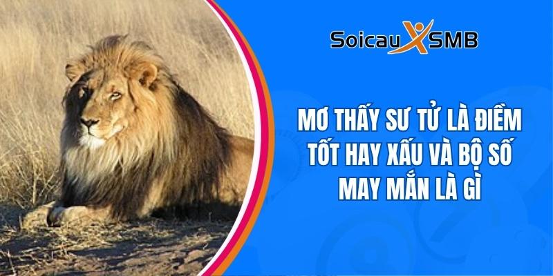 Mơ thấy sư tử là điềm tốt hay xấu và bộ số may mắn là gì