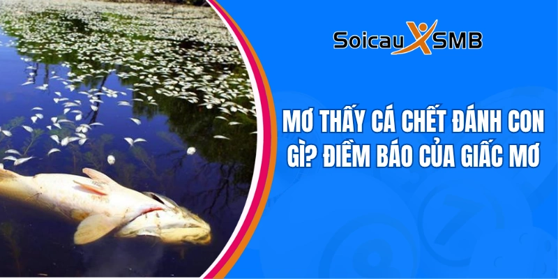 Mơ thấy cá chết đánh con gì? Luận giải ý nghĩa giấc mơ