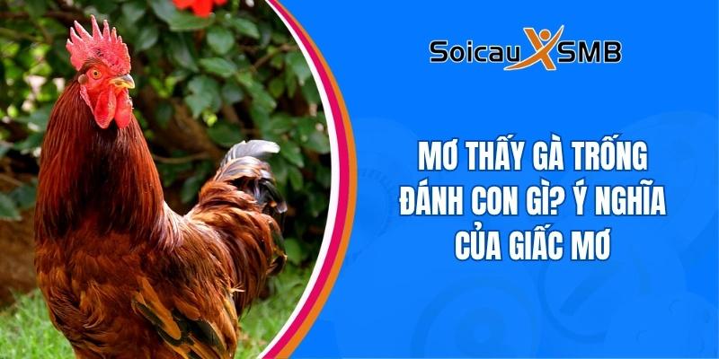 Mơ thấy gà trống đánh con gì? Ý nghĩa của giấc mơ