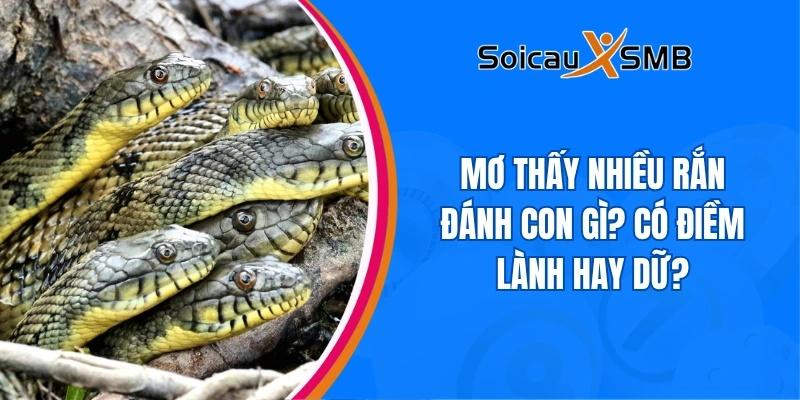 Mơ thấy nhiều rắn đánh con gì? Có điềm lành hay dữ?