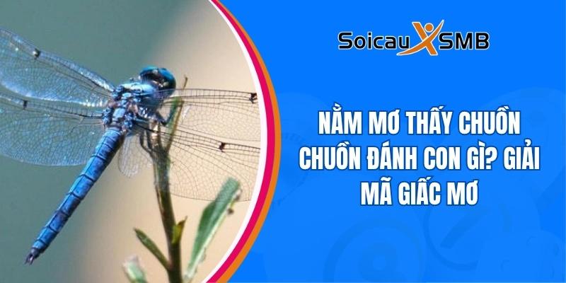 Nằm mơ thấy chuồn chuồn đánh con gì? Giải mã giấc mơ