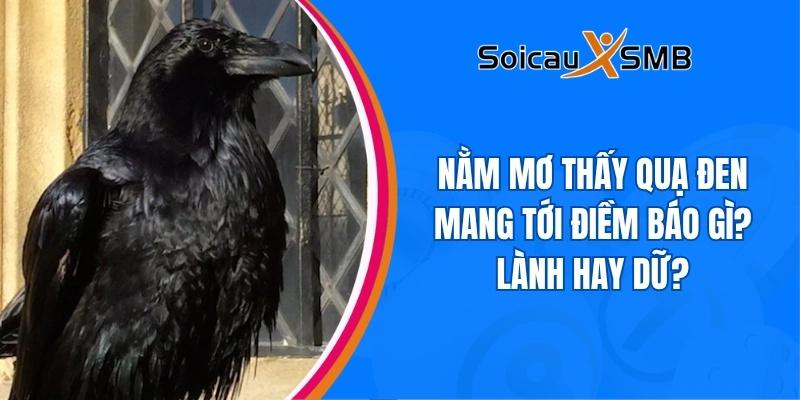 Nằm mơ thấy quạ đen mang tới điềm báo gì? Lành hay dữ?