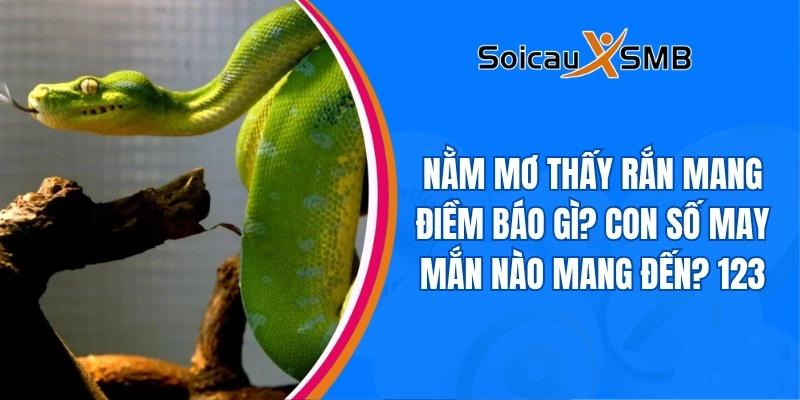 Nằm mơ thấy rắn mang điềm báo gì? Con số may mắn nào mang đến? 123